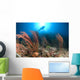 Diver Looks Sea Fans Wall Decal