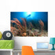 Diver Looks Sea Fans Wall Decal