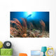 Diver Looks Sea Fans Wall Decal