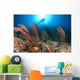 Diver Looks Sea Fans Wall Decal