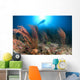 Diver Looks Sea Fans Wall Decal