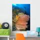 Diver Looks Large Gorgonian Wall Decal Design 2