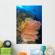 Diver Looks Large Gorgonian Wall Decal Design 2