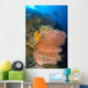 Diver Looks Large Gorgonian Wall Decal Design 2
