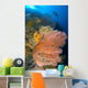 Diver Looks Large Gorgonian Wall Decal Design 2