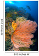 Diver Looks Large Gorgonian Wall Decal Design 2