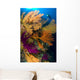 Diver Looks Colorful Reef Wall Decal Design 3