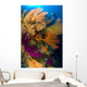 Diver Looks Colorful Reef Wall Decal Design 3