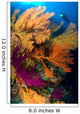 Diver Looks Colorful Reef Wall Decal Design 3