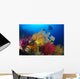 Diver Looks Colorful Reef Wall Decal Design 2