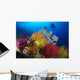 Diver Looks Colorful Reef Wall Decal Design 2