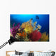 Diver Looks Colorful Reef Wall Decal Design 2