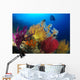 Diver Looks Colorful Reef Wall Decal Design 2