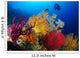 Diver Looks Colorful Reef Wall Decal Design 2