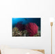 Diver Looks Colorful Reef Wall Decal Design 1