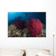 Diver Looks Colorful Reef Wall Decal Design 1