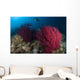 Diver Looks Colorful Reef Wall Decal Design 1
