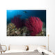 Diver Looks Colorful Reef Wall Decal Design 1