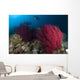 Diver Looks Colorful Reef Wall Decal Design 1