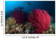 Diver Looks Colorful Reef Wall Decal Design 1