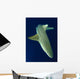 Blacktip Reef Shark Motion Wall Decal