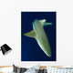 Blacktip Reef Shark Motion Wall Decal