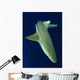Blacktip Reef Shark Motion Wall Decal