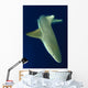 Blacktip Reef Shark Motion Wall Decal