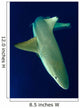 Blacktip Reef Shark Motion Wall Decal