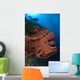 Diver Looks Large Gorgonian Wall Decal Design 1