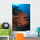 Diver Looks Large Gorgonian Wall Decal Design 1