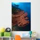 Diver Looks Large Gorgonian Wall Decal Design 1
