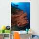 Diver Looks Large Gorgonian Wall Decal Design 1