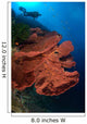 Diver Looks Large Gorgonian Wall Decal Design 1