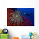 Crinoid Bright Red Sea Wall Decal