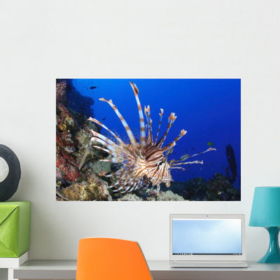 Common Lionfish Full Body Wall Decal shown on a wall