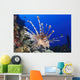 Common Lionfish Full Body Wall Decal