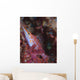 Longnose Hawkfish Solomon Islands Wall Decal Design 3