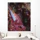 Longnose Hawkfish Solomon Islands Wall Decal Design 3
