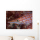 Longnose Hawkfish Solomon Islands Wall Decal Design 2