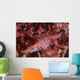 Longnose Hawkfish Solomon Islands Wall Decal Design 1