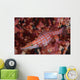 Longnose Hawkfish Solomon Islands Wall Decal Design 1