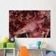 Longnose Hawkfish Solomon Islands Wall Decal Design 1