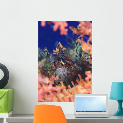 Common Lionfish Resting amongst Wall Decal shown on a wall