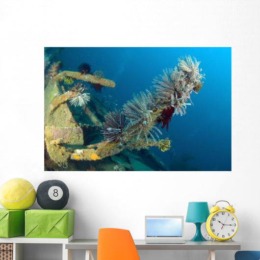 Crinoids Attached to Piece Wall Decal