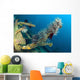 Crinoids Attached to Piece Wall Decal