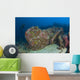 Diver Explores Wreck Us Wall Decal Design 2
