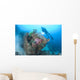 Diver Explores Wreck Us Wall Decal Design 1