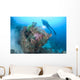 Diver Explores Wreck Us Wall Decal Design 1