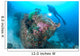 Diver Explores Wreck Us Wall Decal Design 1